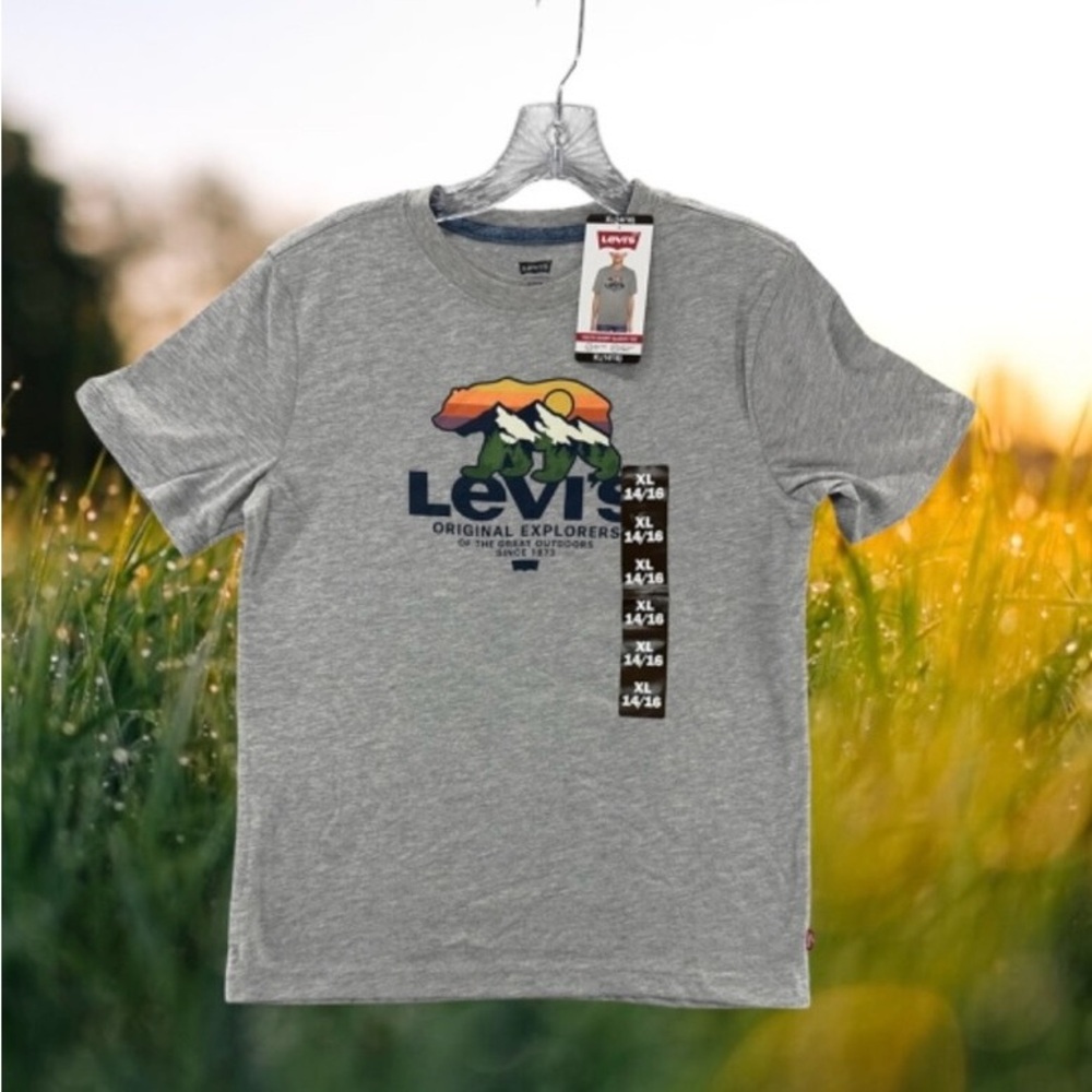 Levi's Gray Tee with Colorful Mountain Graphic